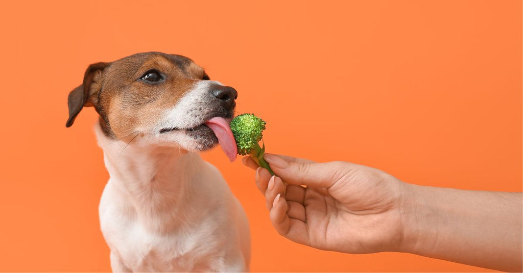 Superfood Broccoli