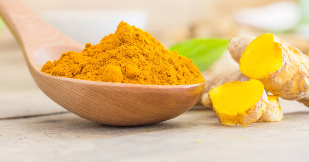 The Amazing Benefits of Turmeric for Your Canine Companion