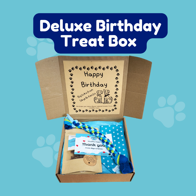 Natural Birthday Treat Boxes