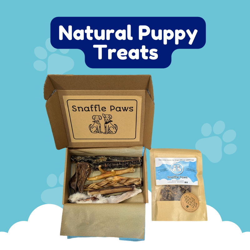 Natural Puppy Treats