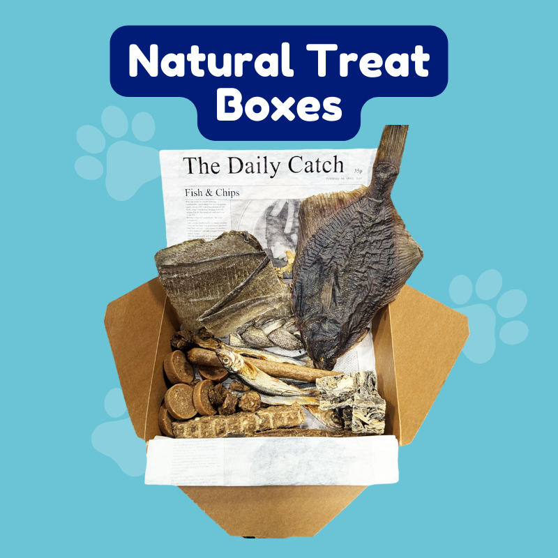 Natural Treat Boxes