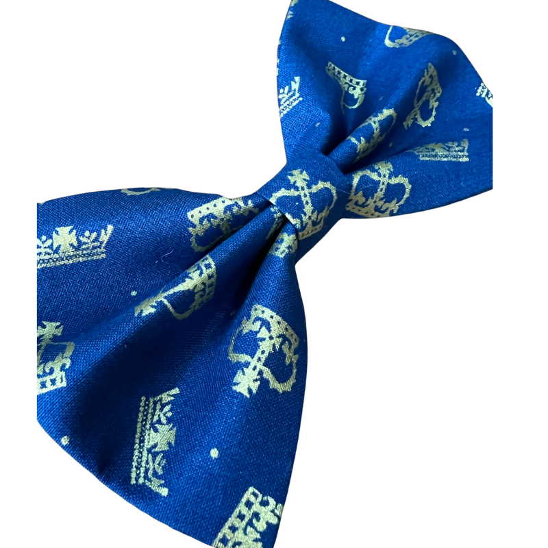 Blue & gold crown dog bow tie close up